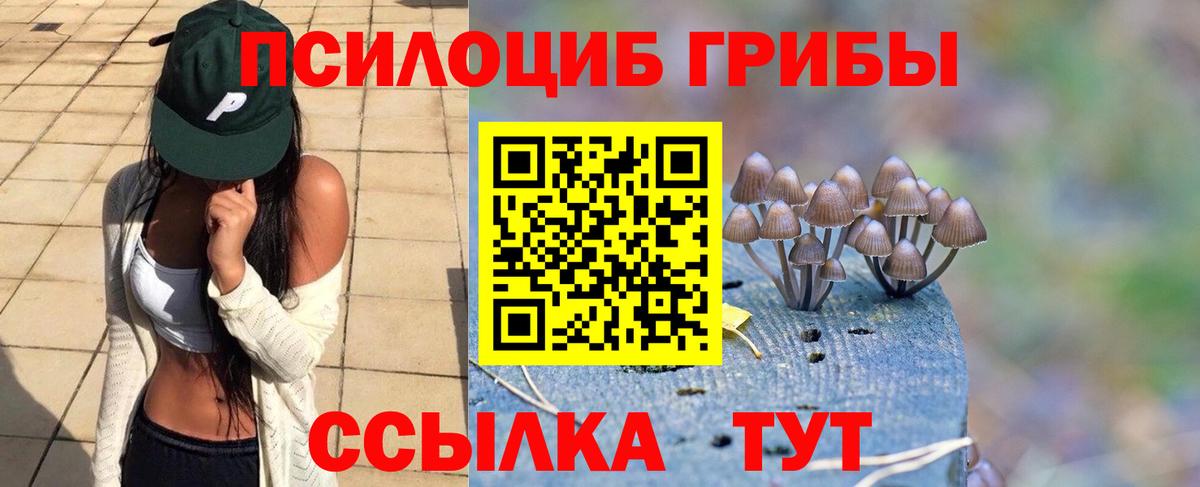 Галлюциногенные грибы Psilocybine cubensis Россия